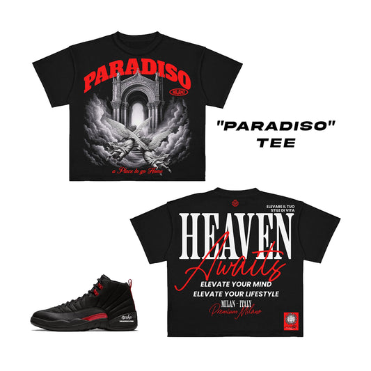 Premium Milano Mens Paradiso Crew Neck T-Shirt CT261-118 Black